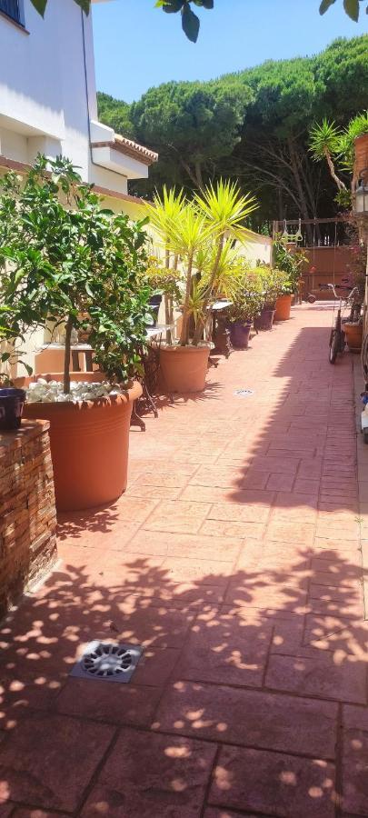Chalet Con Capacidad Para 8 Personas Chiclana de la Frontera Eksteriør bilde